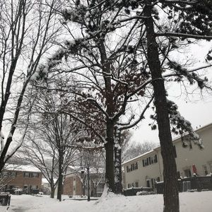 Meet your Posher, Asifa